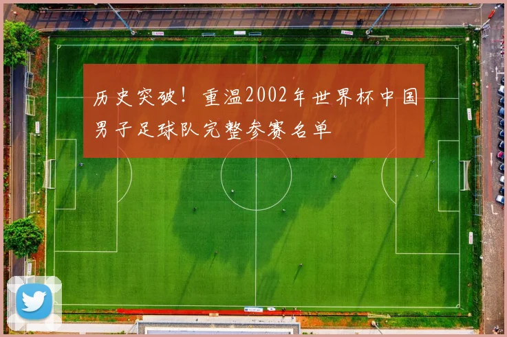 历史突破！重温2002年世界杯中国男子足球队完整参赛名单