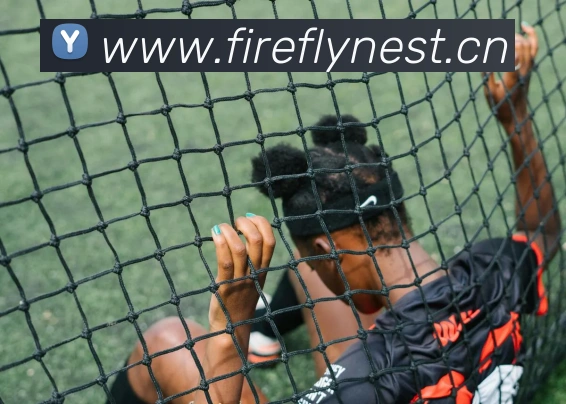 多媒体互动体验